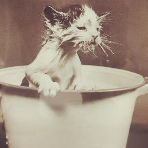 Meet your Posher, James